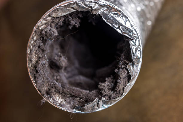 Best HVAC Air Duct Cleaning  in Newton, IA