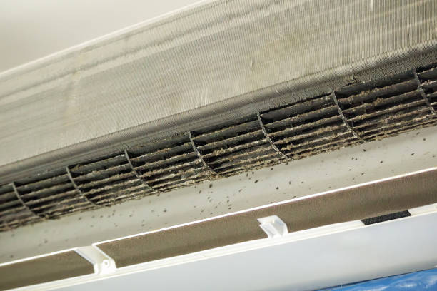 Best Best Air Duct Cleaning Company  in Newton, IA